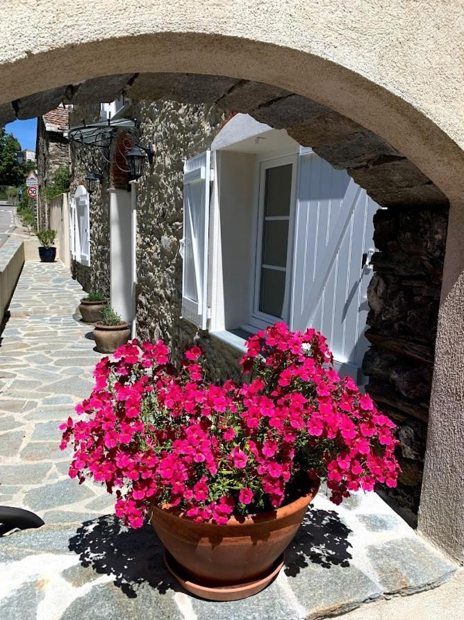 La Source 8 Ou 6 Couchages Villa Valle d'Alesani Exterior foto