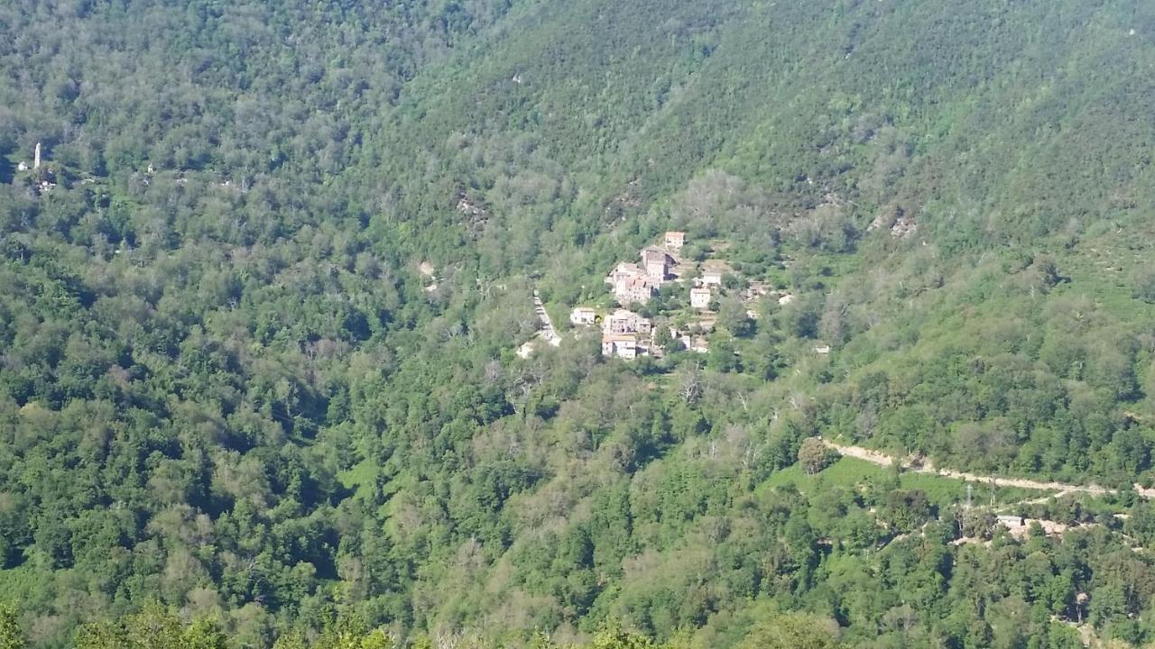 La Source 8 Ou 6 Couchages Villa Valle d'Alesani Exterior foto